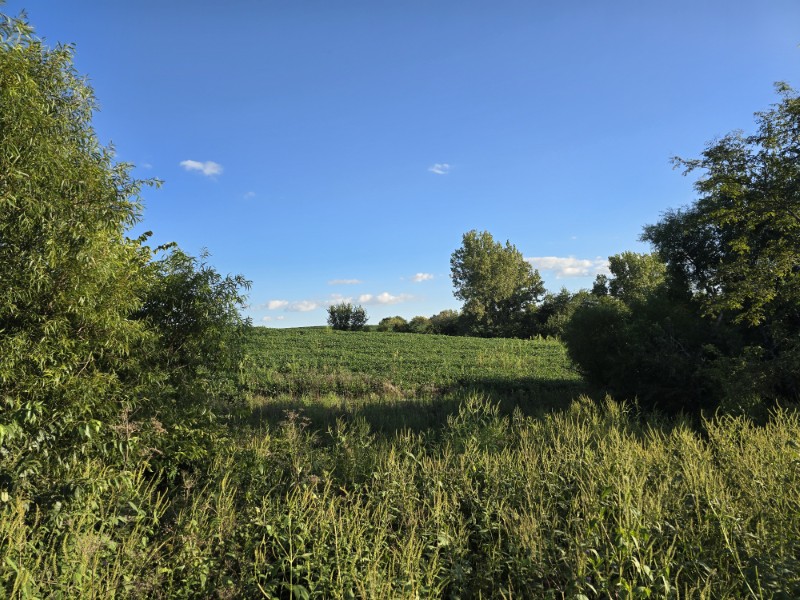 Listing photo 43